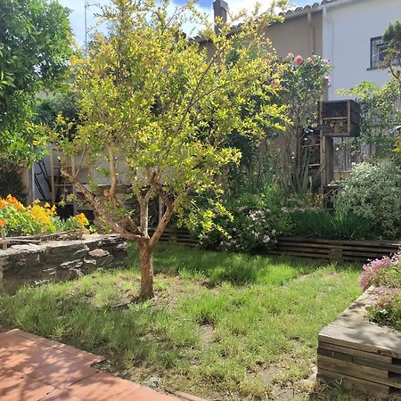 Les Papillons Apartment Perpignan Bagian luar foto