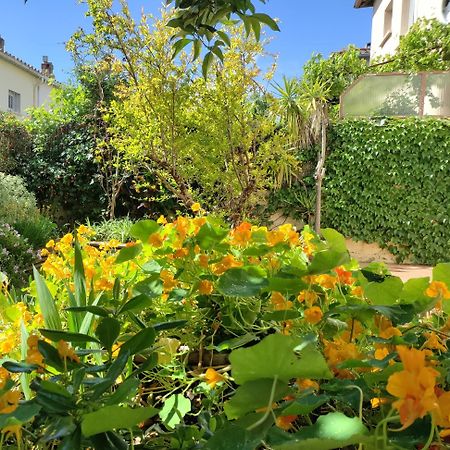 Les Papillons Apartment Perpignan Bagian luar foto